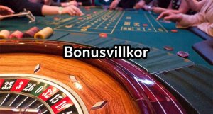 Online Casino Bonusvillkor