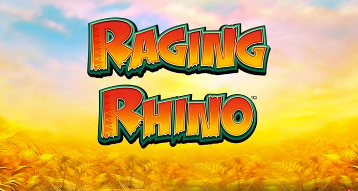 raging rhino casino slot review