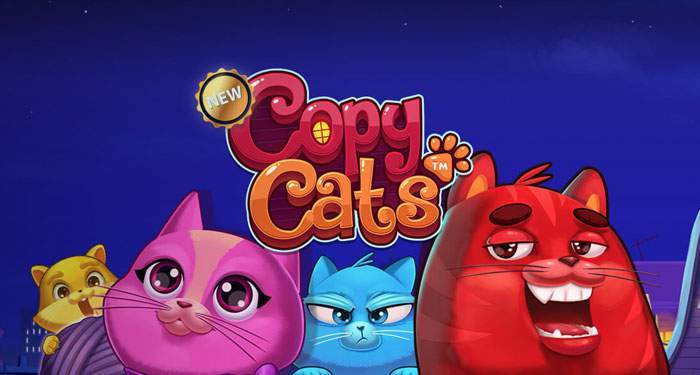 spin that reel copy cats slot review