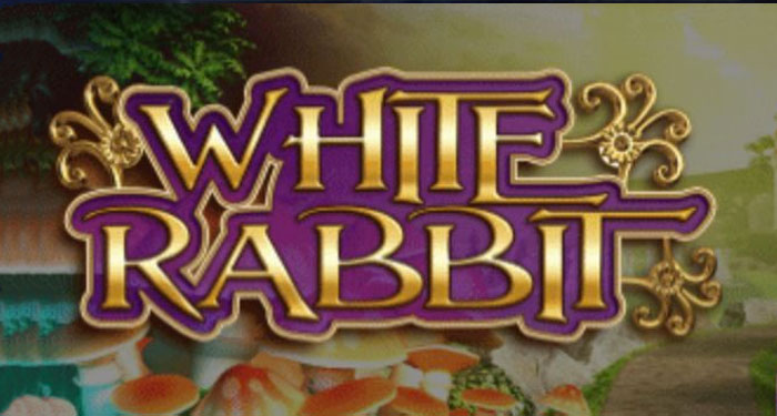 white rabbit casino slot review