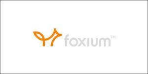 foxium casino slot provider